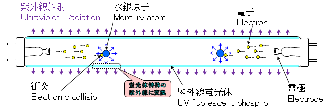 03-配图 (2).png